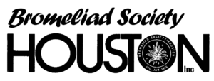 Bromeliad Society Houston Logo